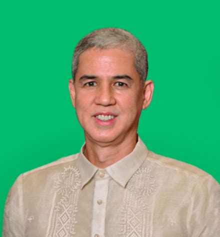 bong lacson|LACSON, BONG (NPC) .